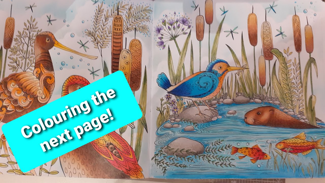 Colour the next page with me in Rita Berman's 'Mein Fruhlings Spaziergang' - Adult colouring.
