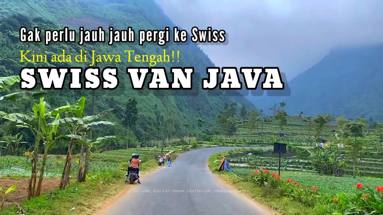 SWISS VAN JAVA Jalanan yang Membelah Gunung dengan view Keren