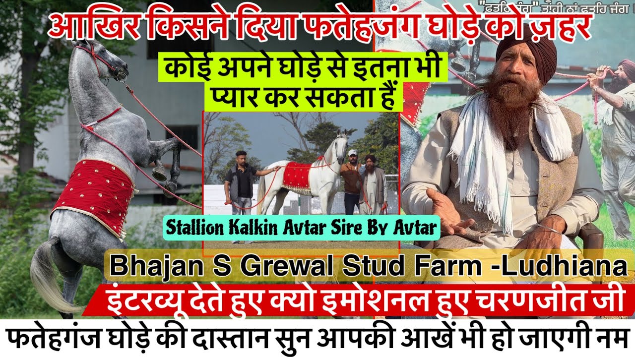 आखिर किसने दिया फतेहजंग घोड़े को ज़हर क्या कोई इतना भी प्यार कर सकता हैं अपने घोड़े से !