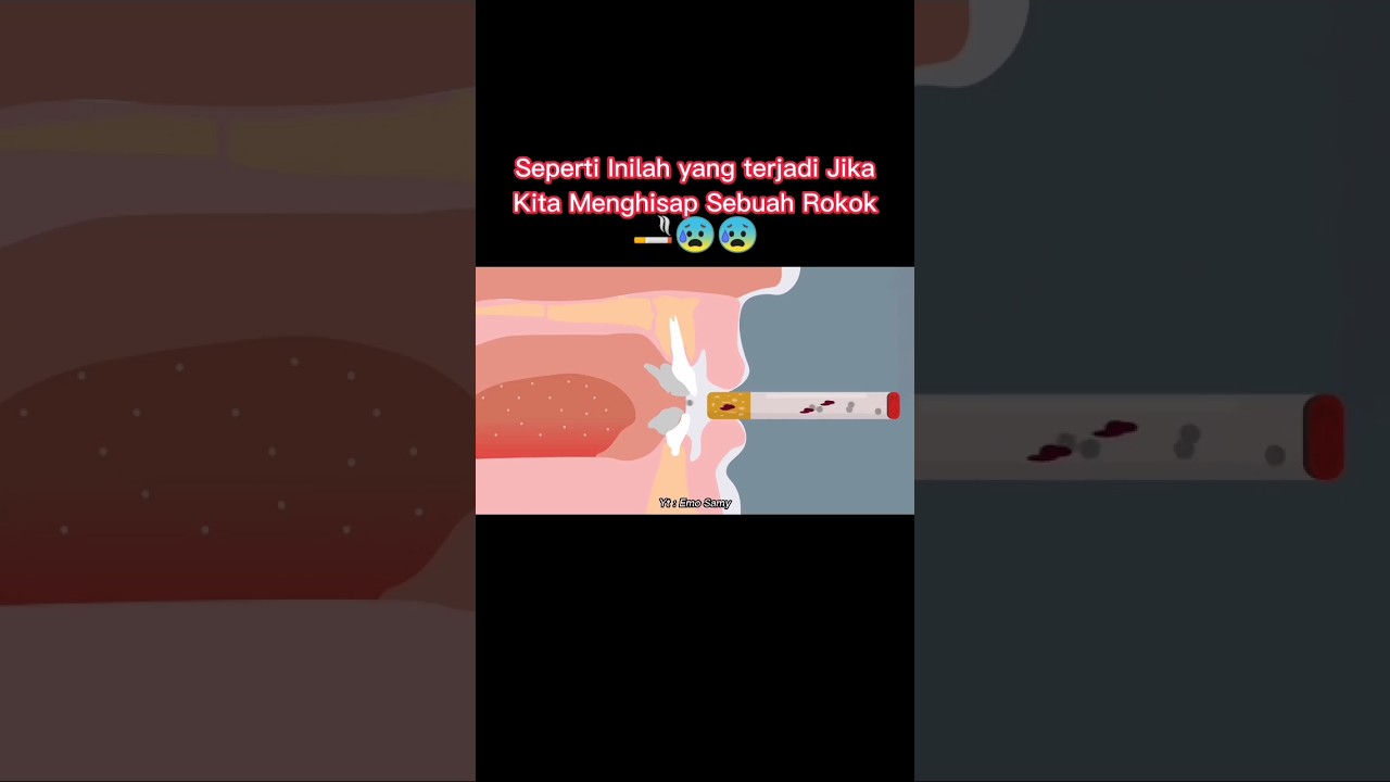 SEPERTI INILAH CARA MENGHISAP ROKOK 🚬🧐 #shorts #fyp #trending #viral #tiktok #ytshorts #indonesia