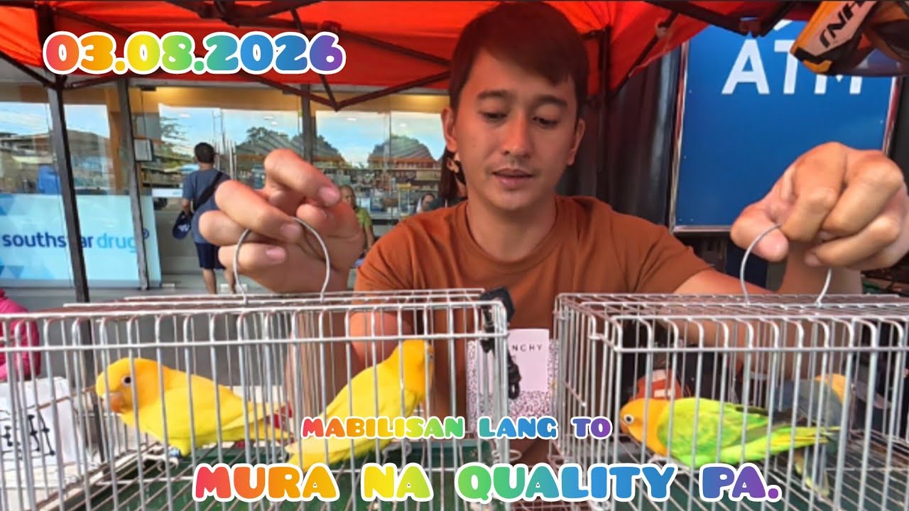 ep#261 03.08.2026 up date Grotto pet market.mura na Quality pa.