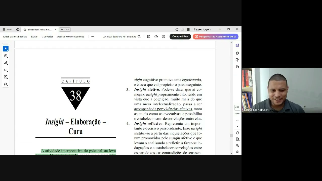 Capítulo 38 - Insight – Elaboração – Cura (parte I)