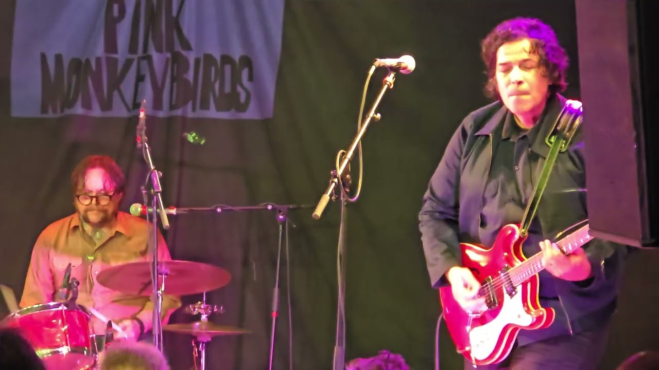 Kid Congo and the Pink Monkeybirds