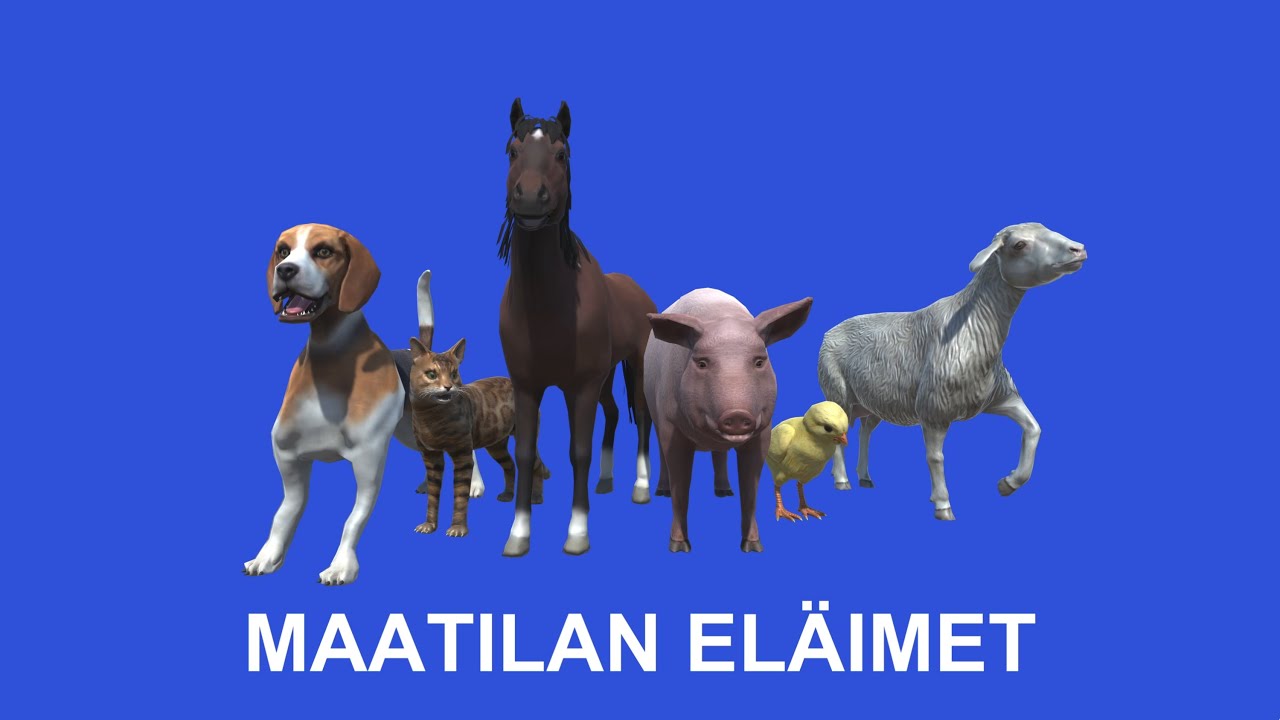 Maatilan el&auml;imet lapsille - mukana koira, kissa, hevonen, sika, tipu ja lammas