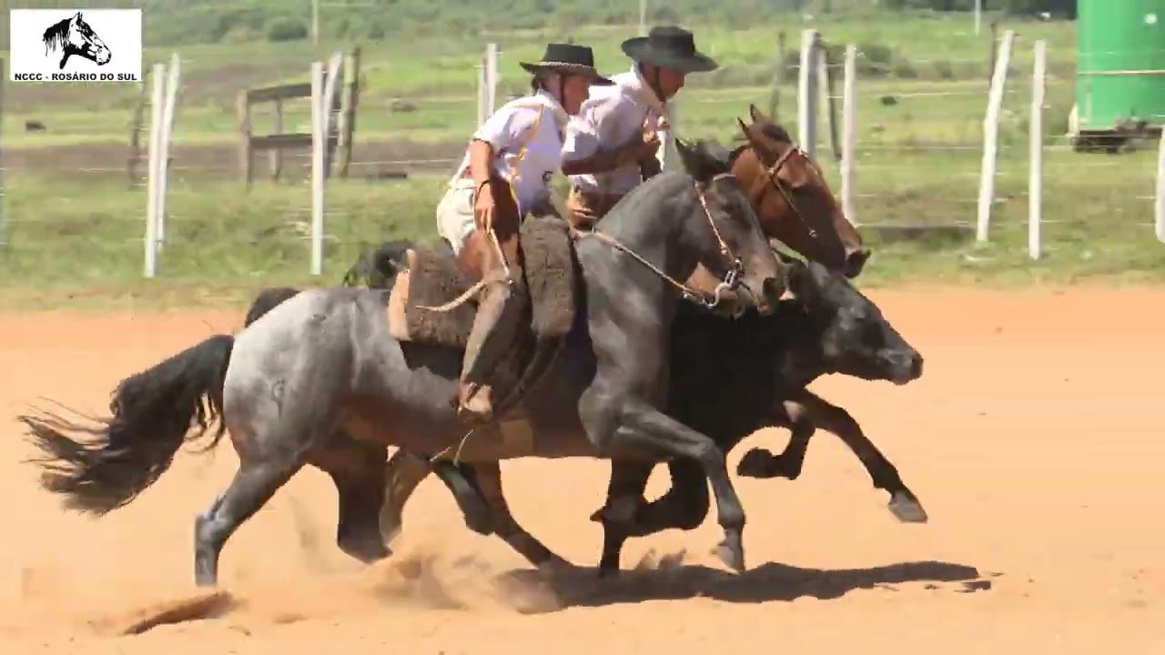 Clip com as Corridas 8,0 a 9,5 das Paleteadas Capatz  28/02/2026
