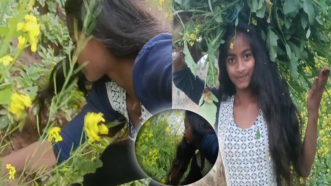 किसानों की मजबूरी #trending #villagerlifestyle @ChandaFamilyVlog 