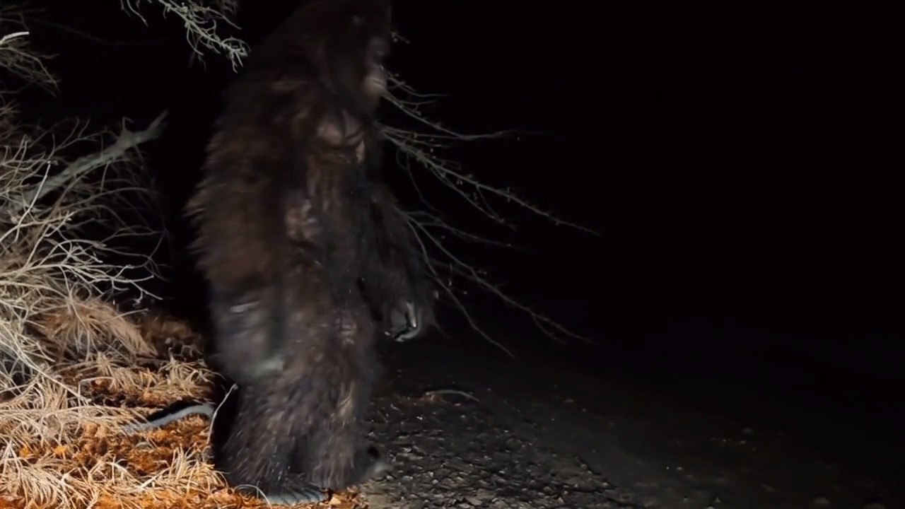 SCARY Camping Encounters Caught on Camera That Ended the Trip IMMEDIATELY