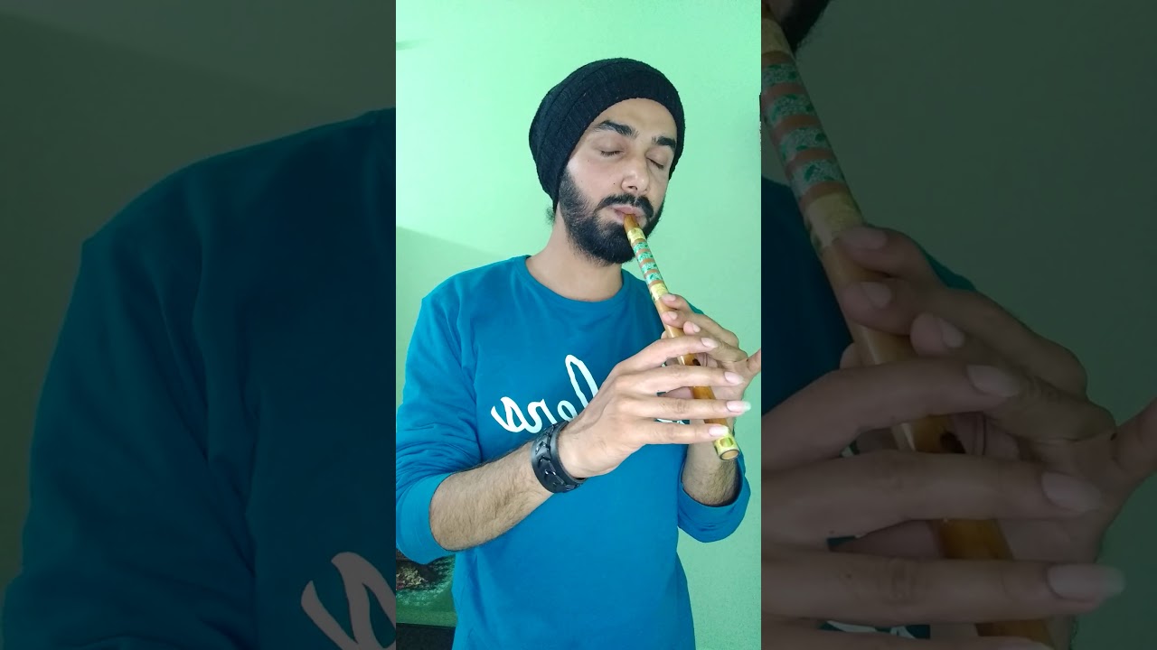 Shalaa Mainda Jeeve Dola II Vanjhli (Straight Flute) NAVNEET JAURA