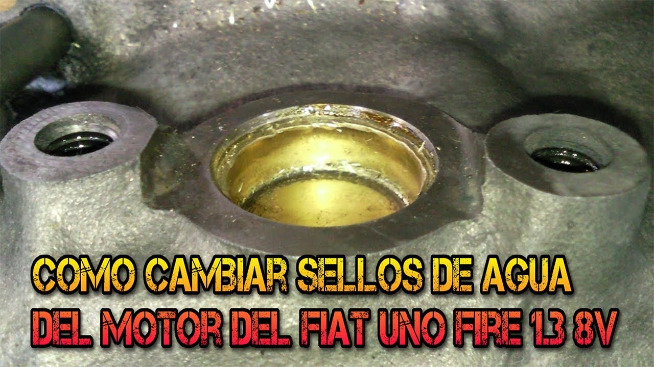 COMO CAMBIAR SELLOS DE AGUA DEL MOTOR DEL FIAT UNO FIRE 1 3 8V REV