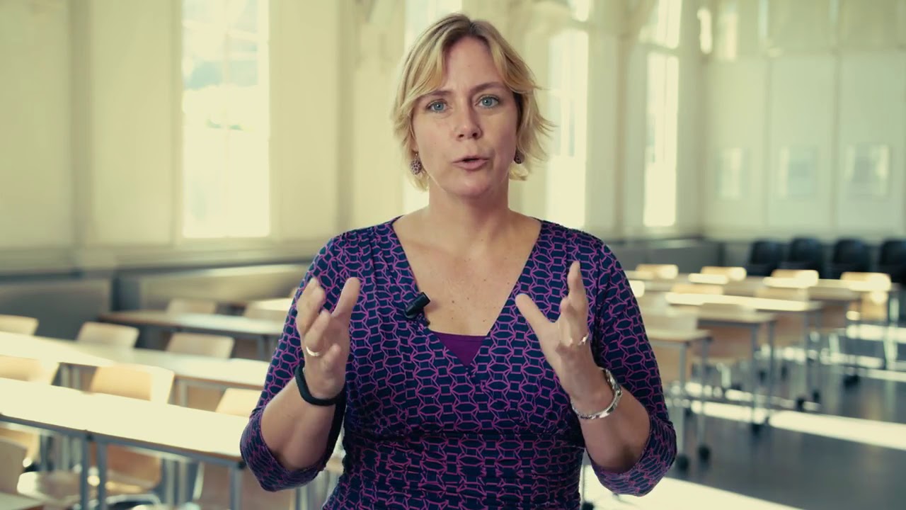 Bachelor European Studies at Maastricht University