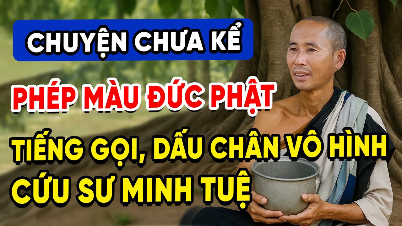 Không Thể Giải Thích: Ánh Sáng, Tiếng Gọi Và Dấu Chân Vô Hình Cứu Sư Minh Tuệ!