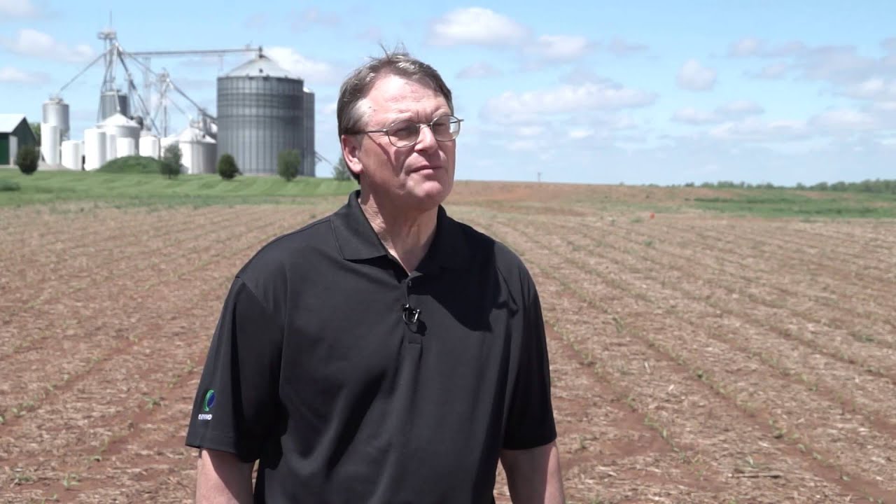 Fortix fungicide