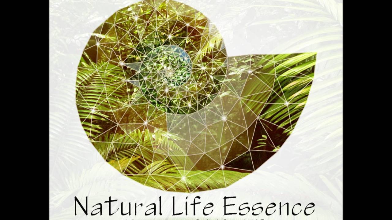 Natural Life Essence - Forms Of Life [Full EP]