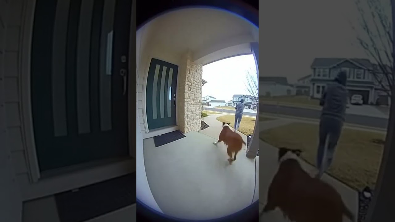 Caught Stealing the Bait Box! Funniest Porch Pirate Prank Ever