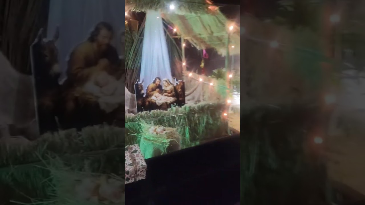 Christmas program 🎄 | Din bhar ka routine & shaam ka celebration | Mini Vlog