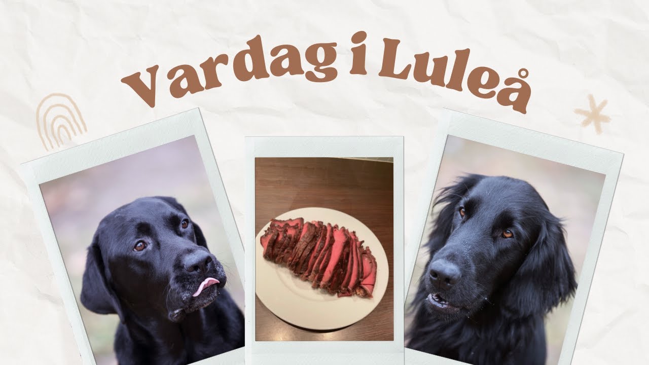 Vlog från Luleå