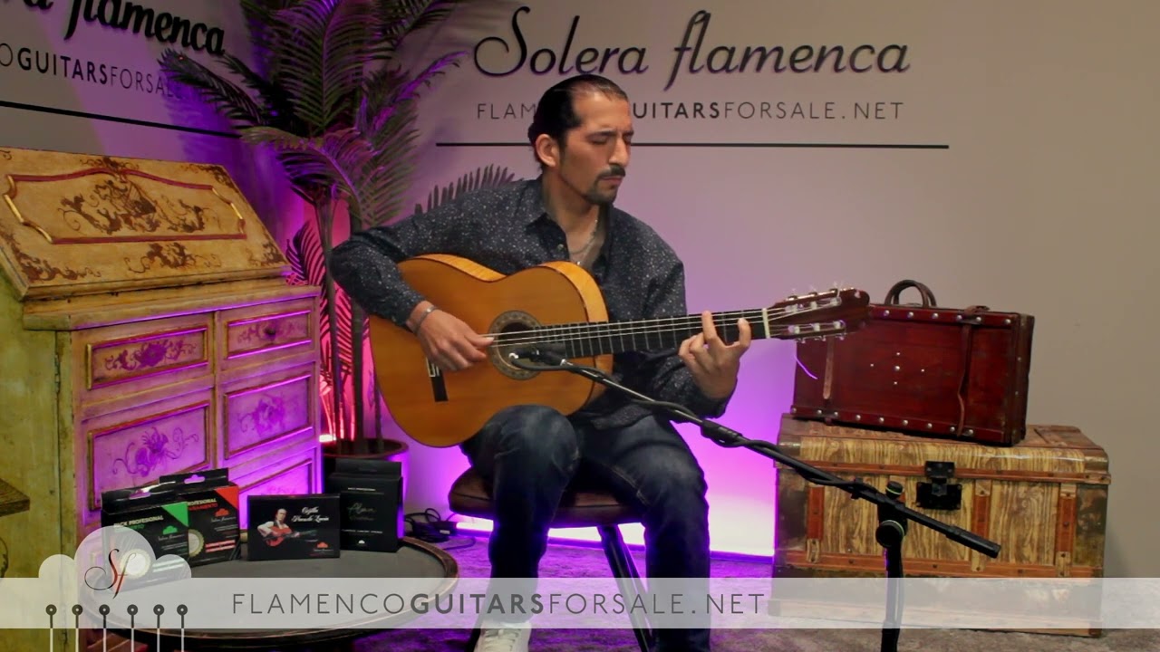 Pedro Maldonado 1988 flamenco guitar for sale played by Jos&eacute; Andr&eacute;s Cort&eacute;s