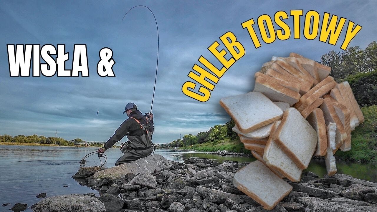 CHLEB TOSTOWY! 🍞🐟 I WARSZAWSKA WISŁA  w czasie NIŻOWKI !