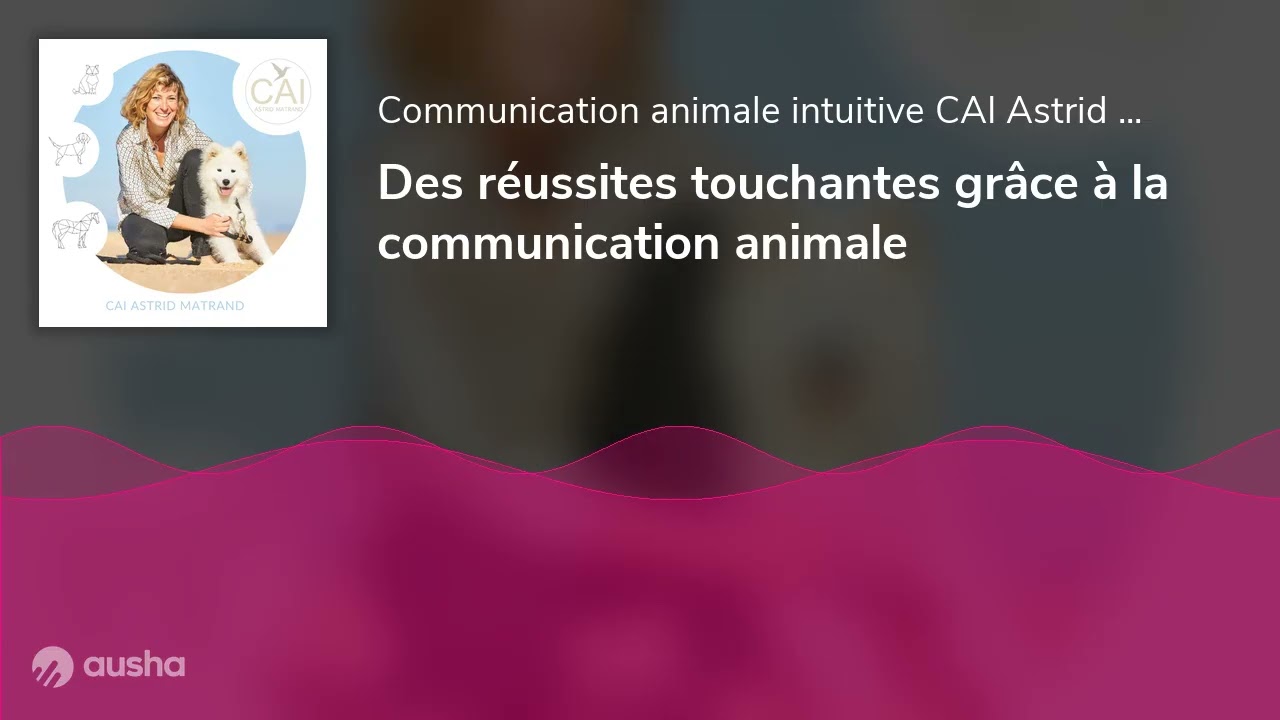 Des réussites touchantes grâce à la communication animale