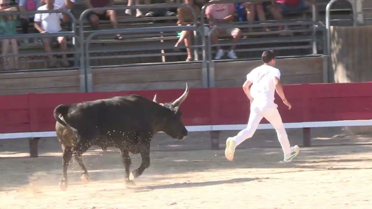 ville de vendargues le mercredi 10 juillet 2024   9ème journée de la main d'or movie