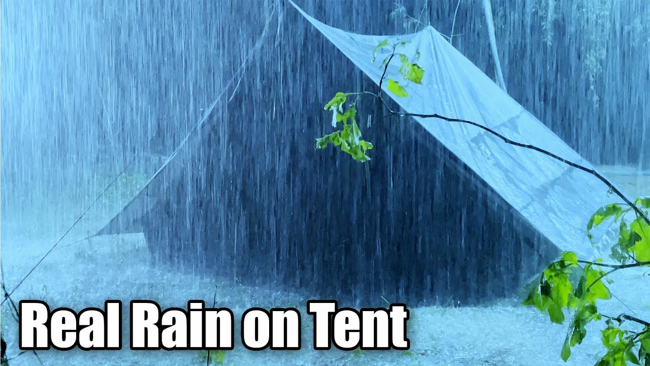 🎧 Listen & Fall Asleep Instantly | Torrential Rain On Tent & Strong Thunder On Rainy Night In Forest