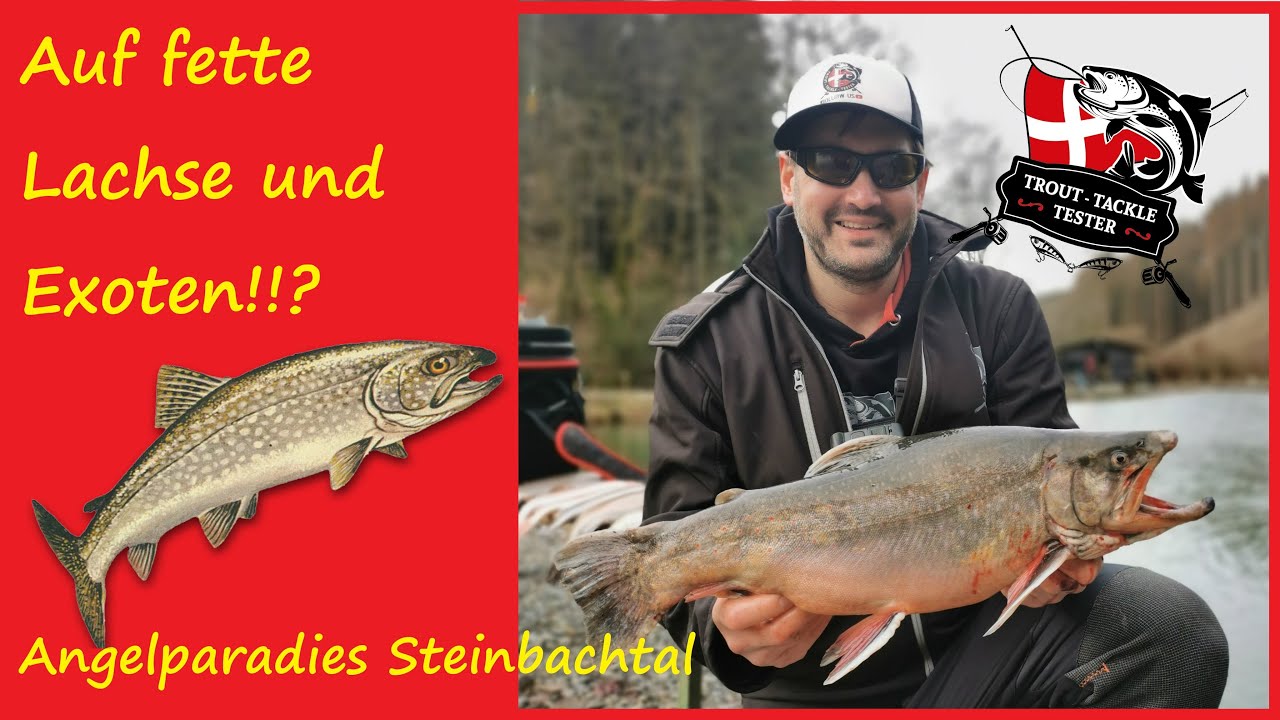 Dicker Saibling in Steinbachtal ||Ultra Light||Forellen angeln||Spoon