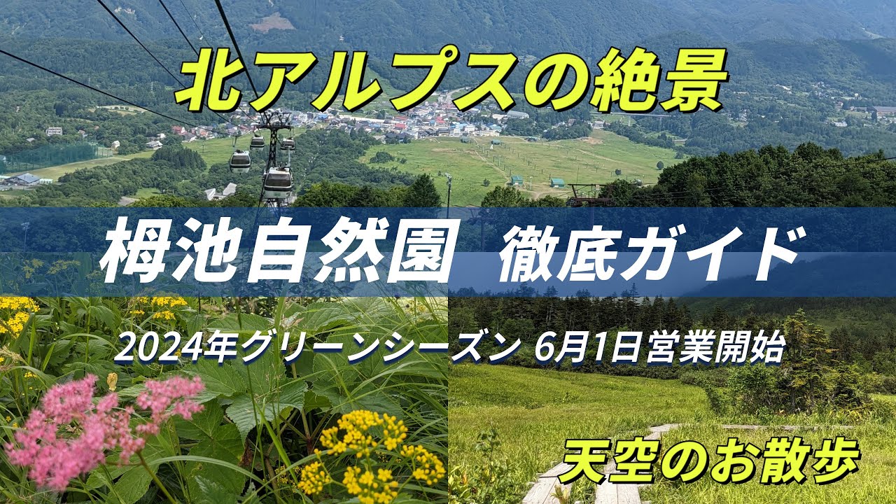 北アルプス絶景展望  栂池自然園 徹底ガイド天空のお散歩！ 北アルプスの絶景を眺めながら、大自然のパワーで心も体もリフレッシュ！