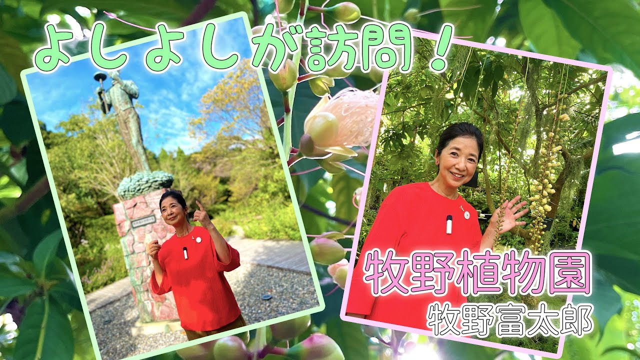 朝ドラ 『らんまん』の高知 牧野植物園を訪ねて