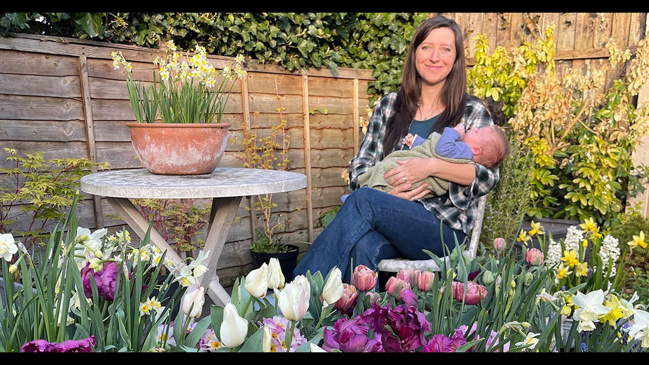My home garden spring bulb display