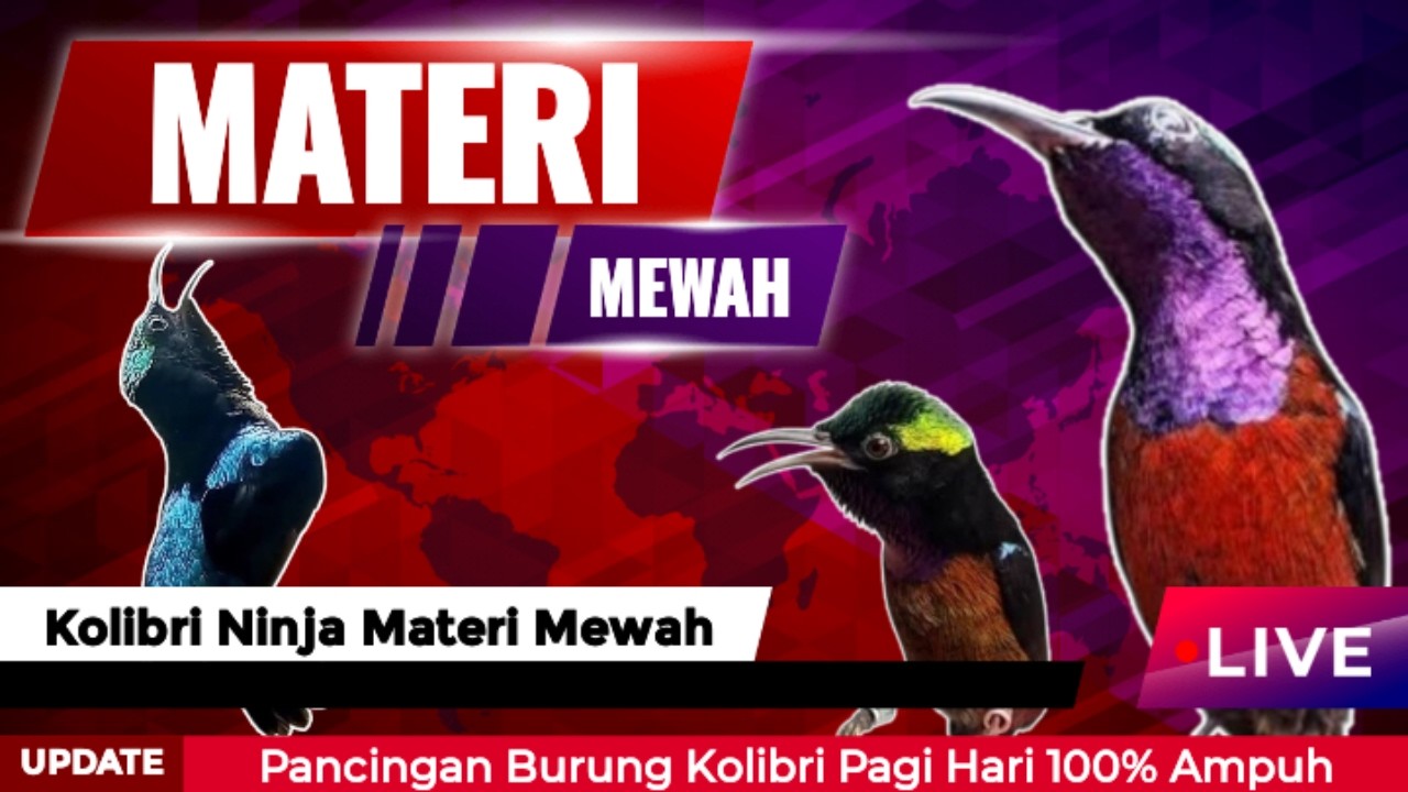 🔴 Materi Sadis‼️ bikin juri pada melirik‼️