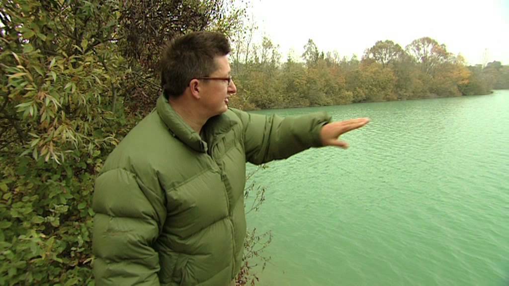 Gigantica Swims - The Tree Line