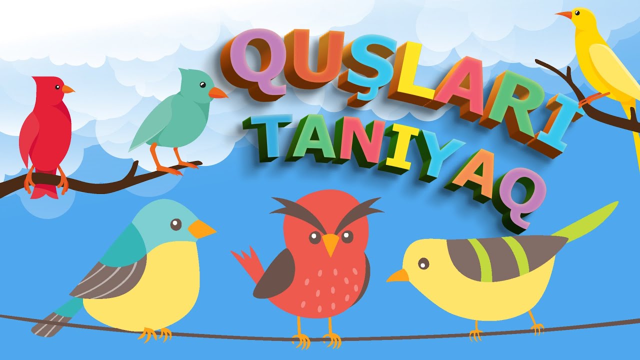 Quşları tanıyaq | Öyrədici video uşaqlar üçün #uşaqkanalı