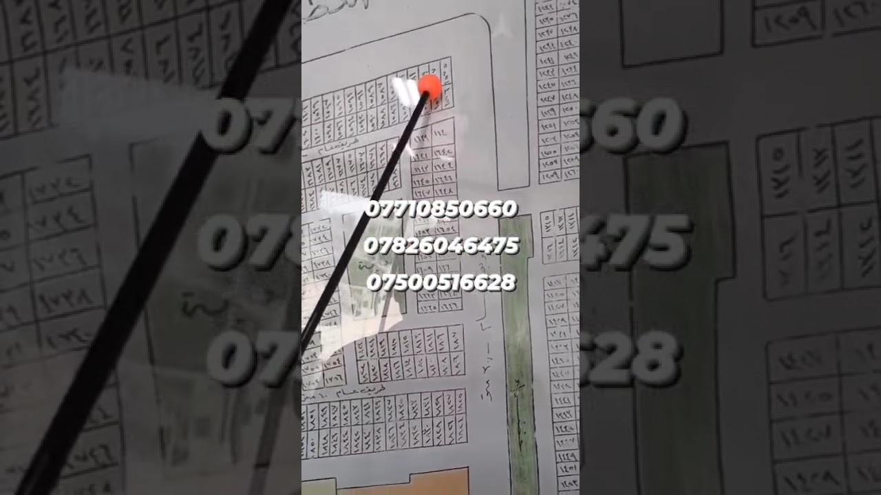 ١٣ فبراير ٢٠٢٦