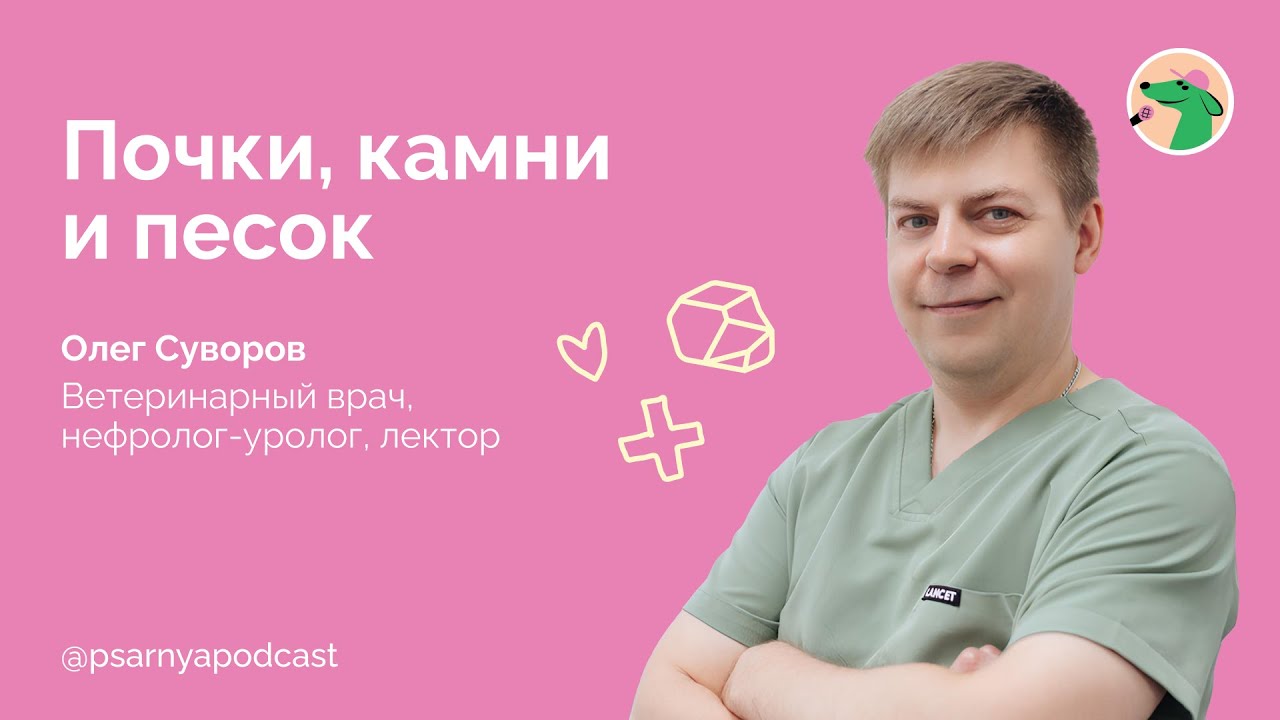 Олег Суворов. Почки, камни и песок