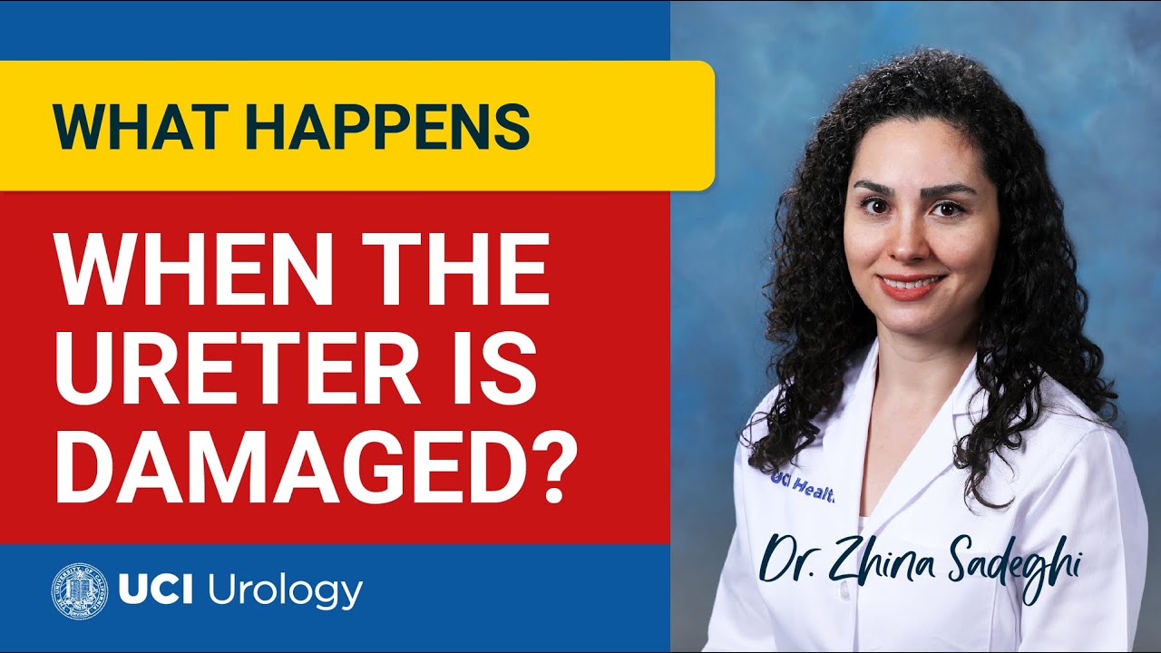 What Happens When the Ureter is Damaged? by Dr. Zhina Sadeghi - UC Irvine Department of Urology