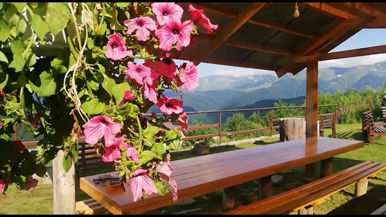 Transalpina Mountain View | Birds Chirping | Insects Buzzing | 2 Hours
