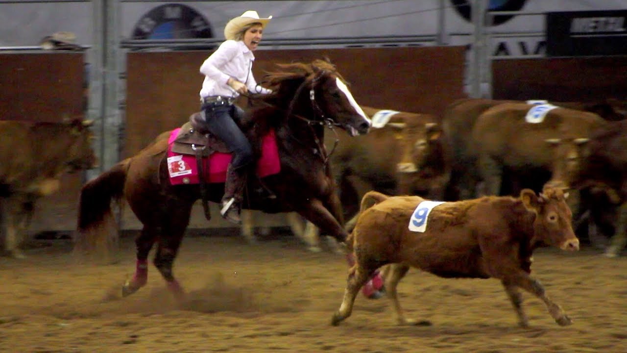 Team Penning.Fieracavalli Verona 2017.