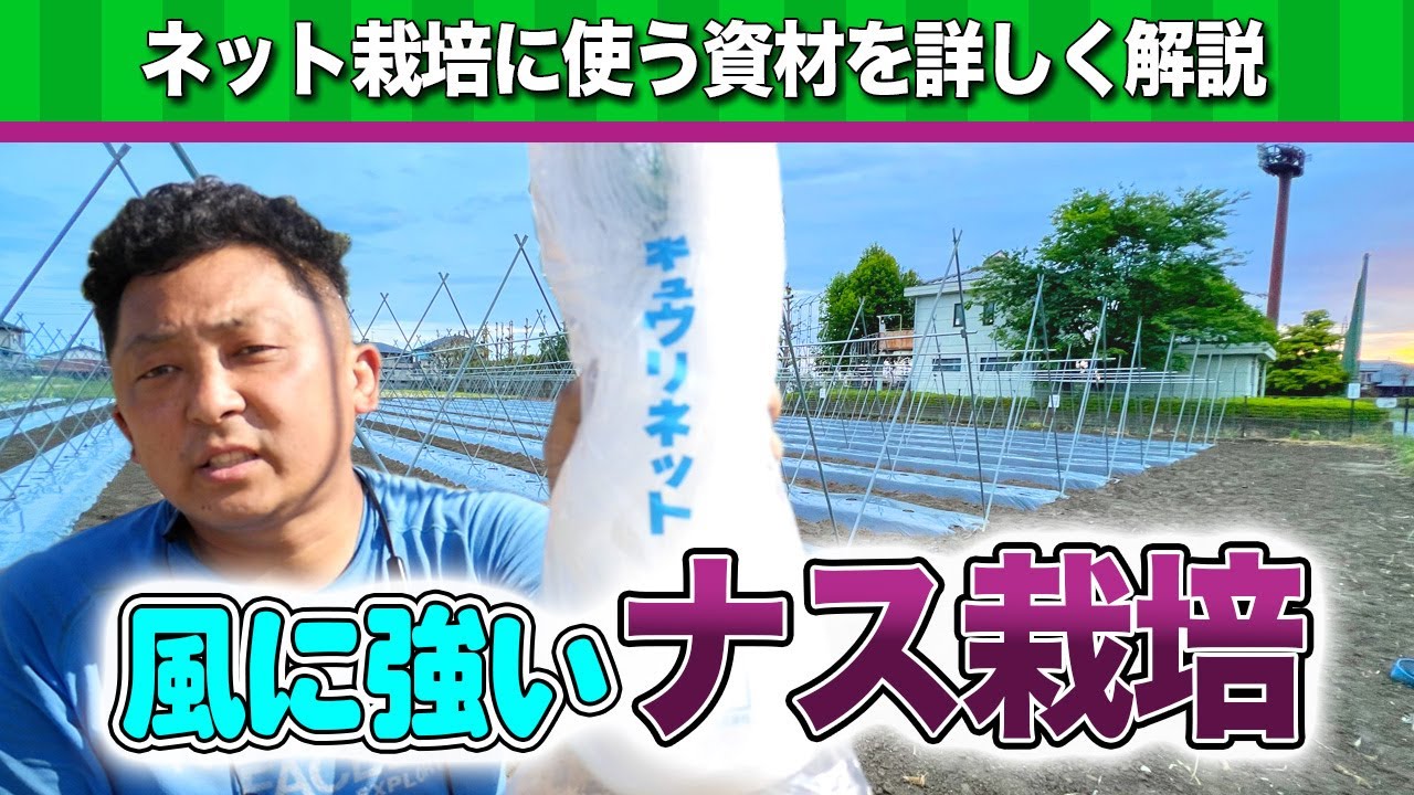 【資材紹介】風に強いナス栽培に使う物はコレ！！