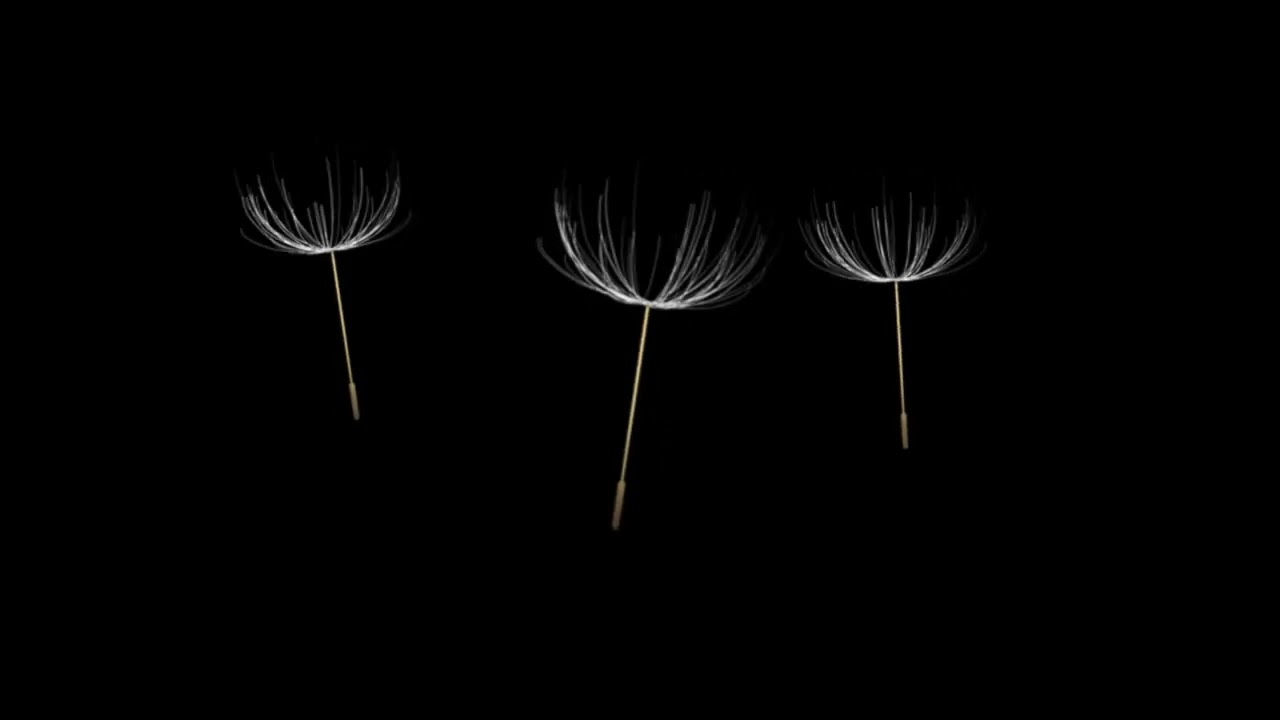 "Never Be Apart" - Nikonn feat. MeLLLo