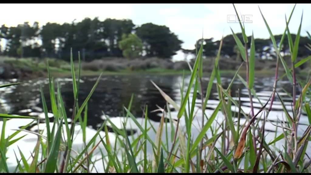 South Today News - 19th November 2013