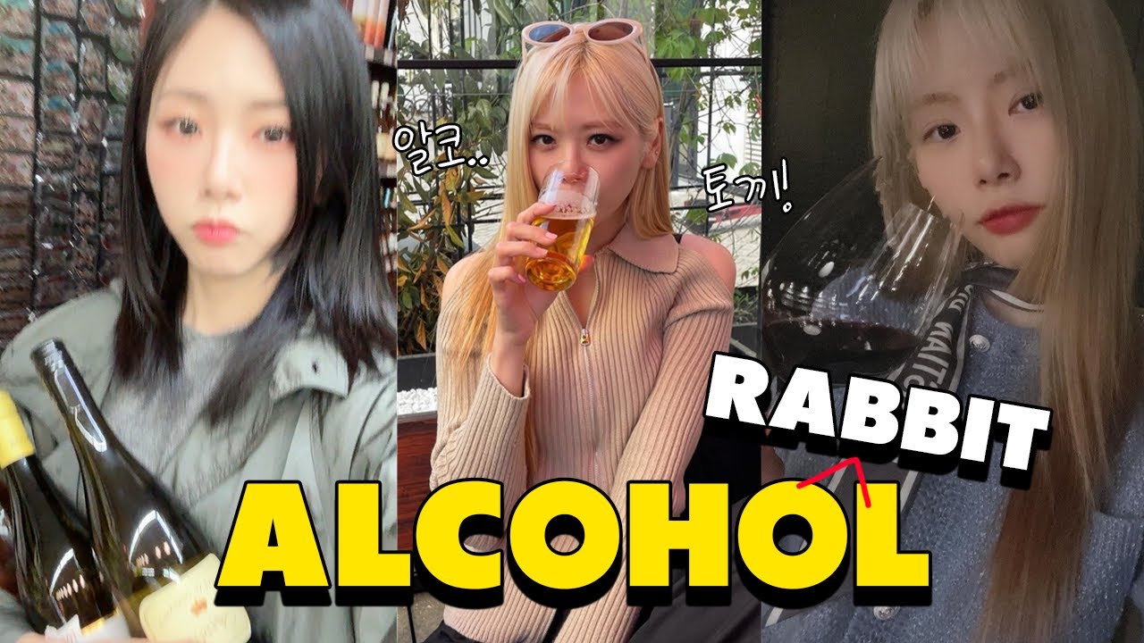 origins of alcohol rabbit jiu 🐰 알코토끼 지유