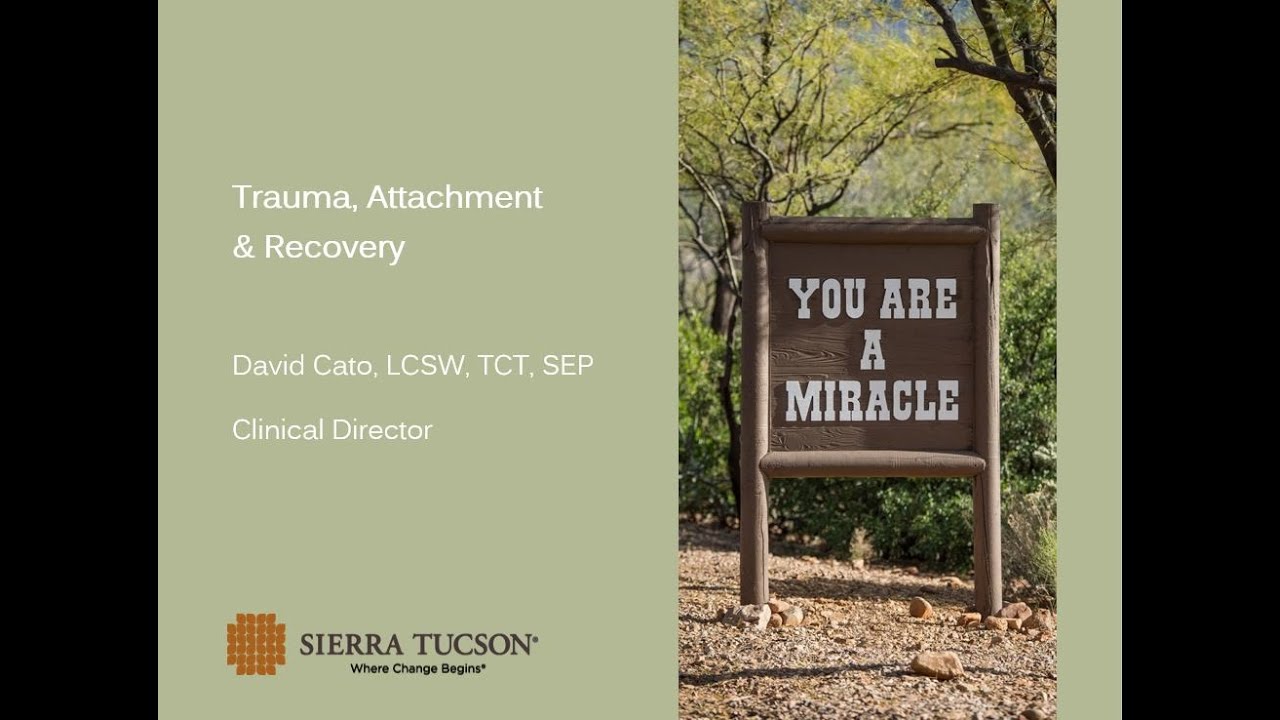 Attachment Trauma and the Nervous System