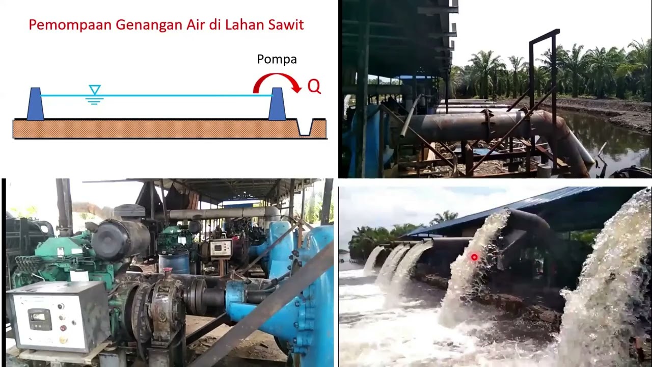 MENGUBAH LAHAN SAWIT MENJADI SOLUSI UNTUK MENGURANGI BANJIR - Bambang Triatmodjo