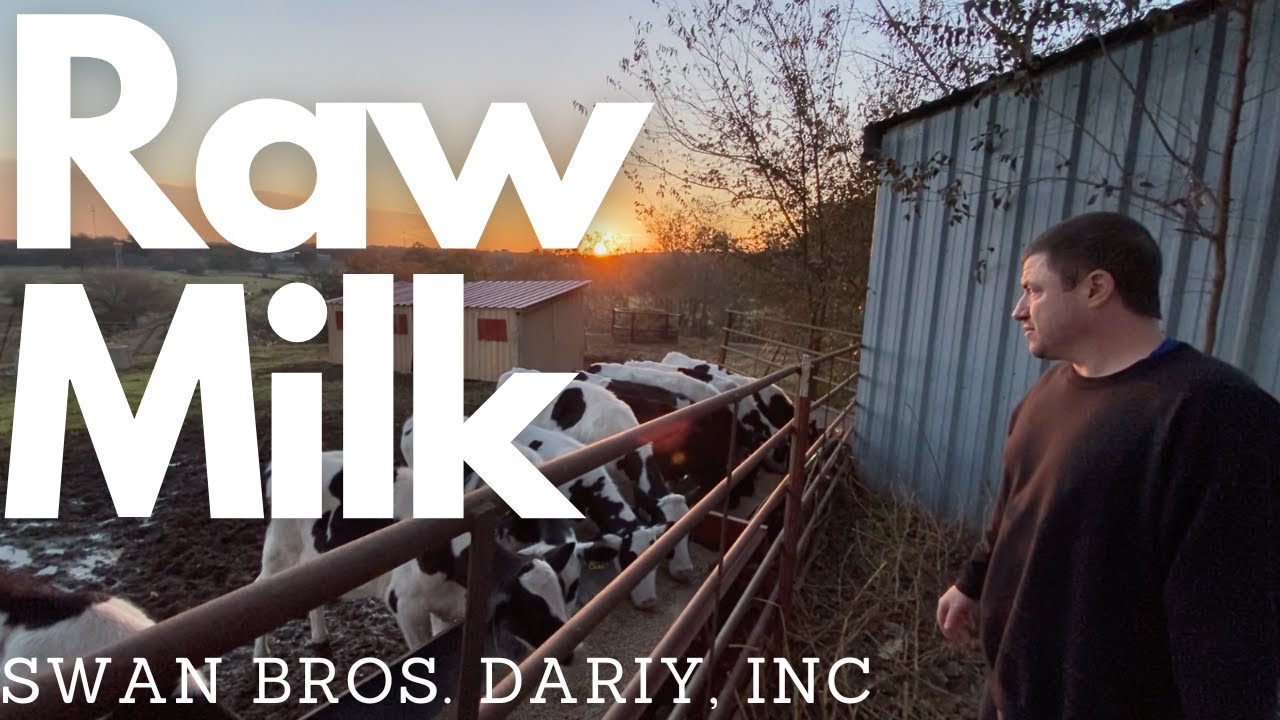 Лучшее сырое молоко в Оклахоме 🐄🥛 — взгляд изнутри на Swan Bros. Dairy, INC.