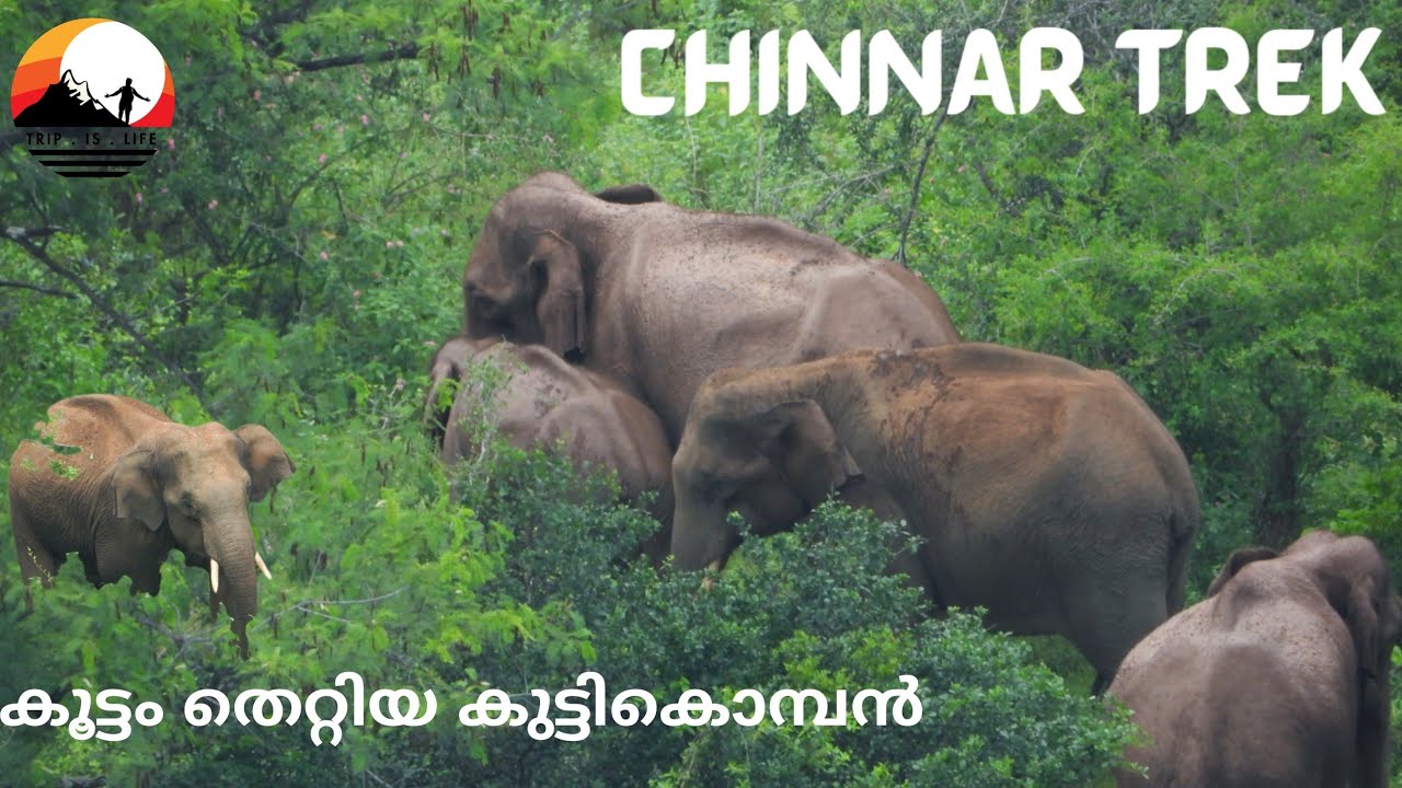 Chinnar Forest Trekking