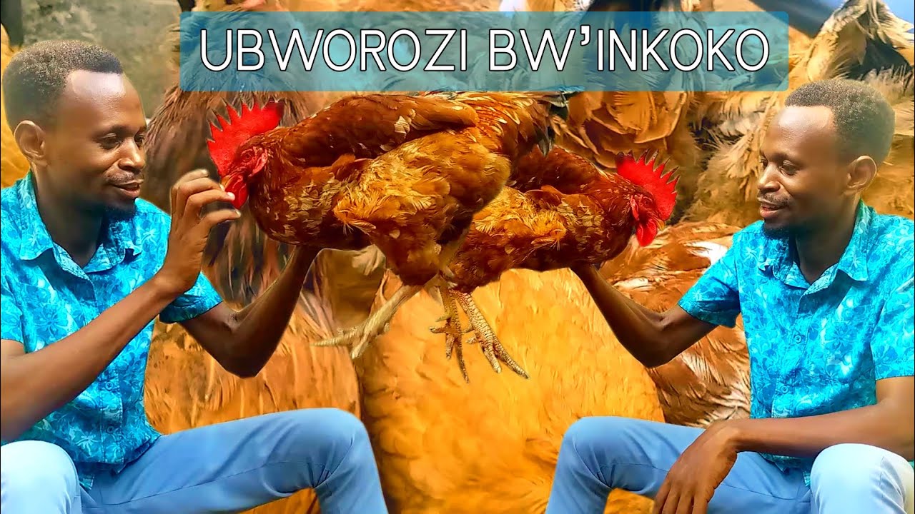 INKOKO IFUNGURA IBIRO5 VY'IBUFUNGURWA VYAZO//SEZERA UBUKENE TWIKORERE UBWOROZI BWI #INKOKO