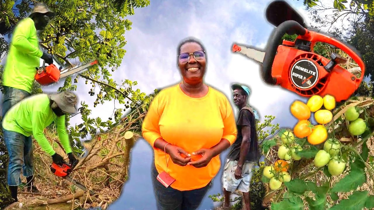 THE PROCESS IN FARMING | WORKING TO MAKE A DIFFERENCE.  FOOD COME FRIST | FARM UP THE LAND  🇯🇲 