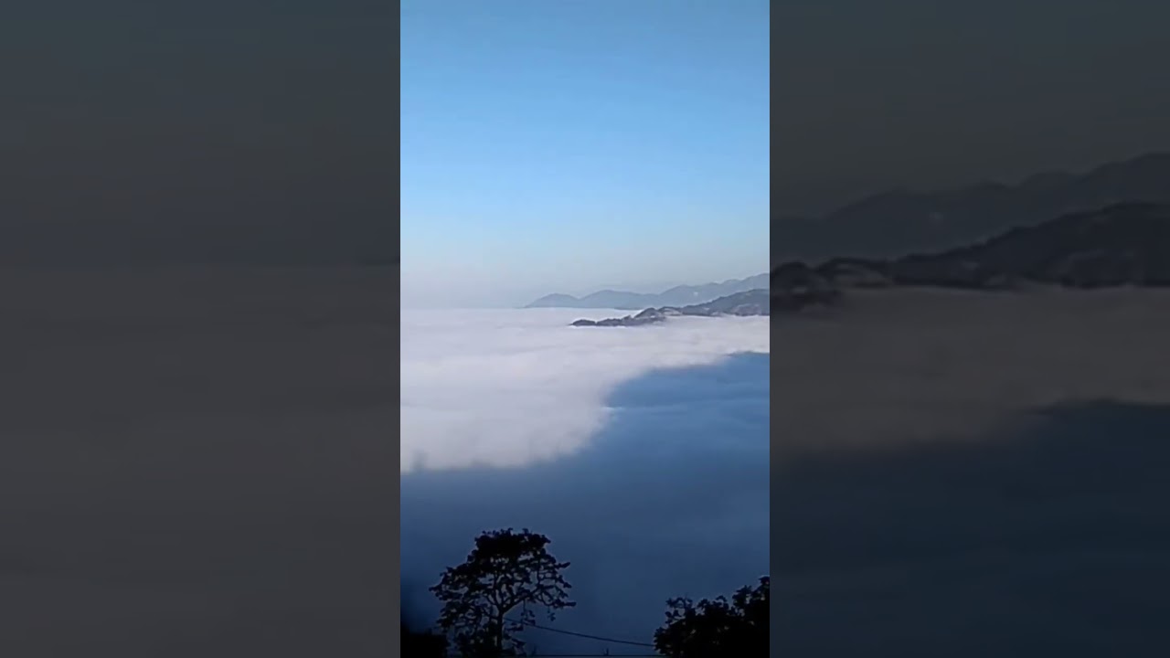 nature vibes 