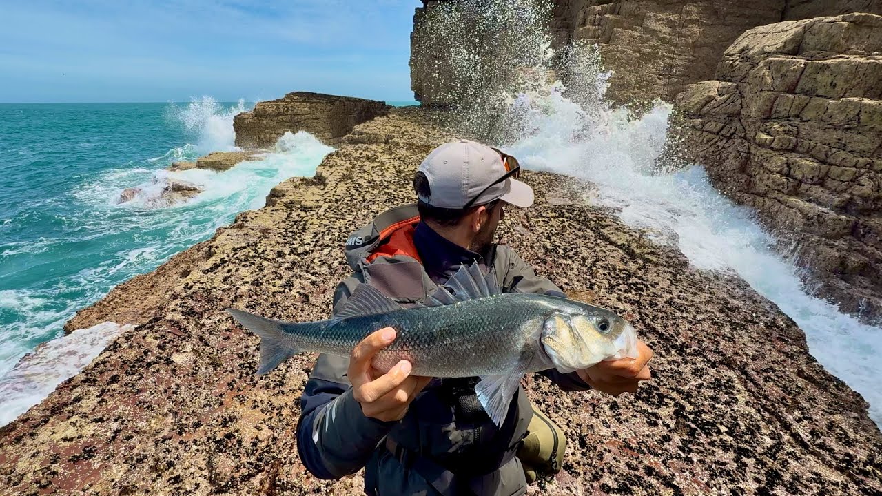 À la traque des Bars : Pêche en Bord  de Mer avec Houle et Poisson Nageur!
