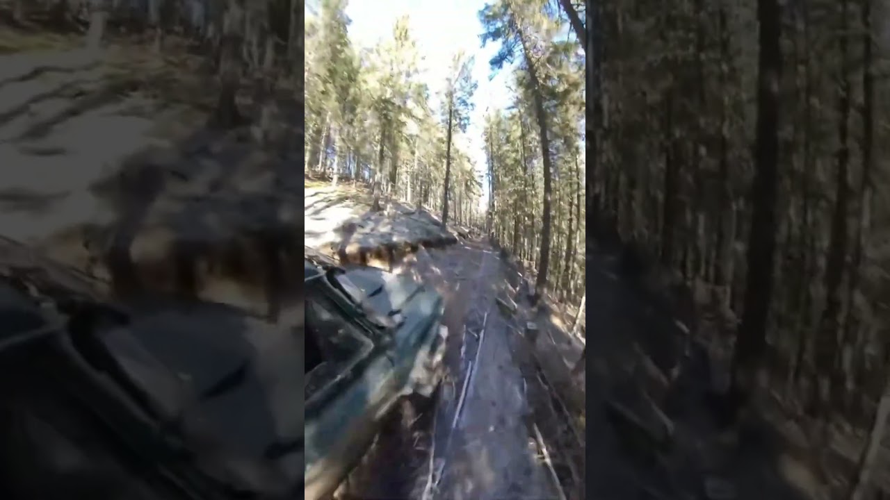 #automobile #offroad #mud #aventure #aro #forest #extreme